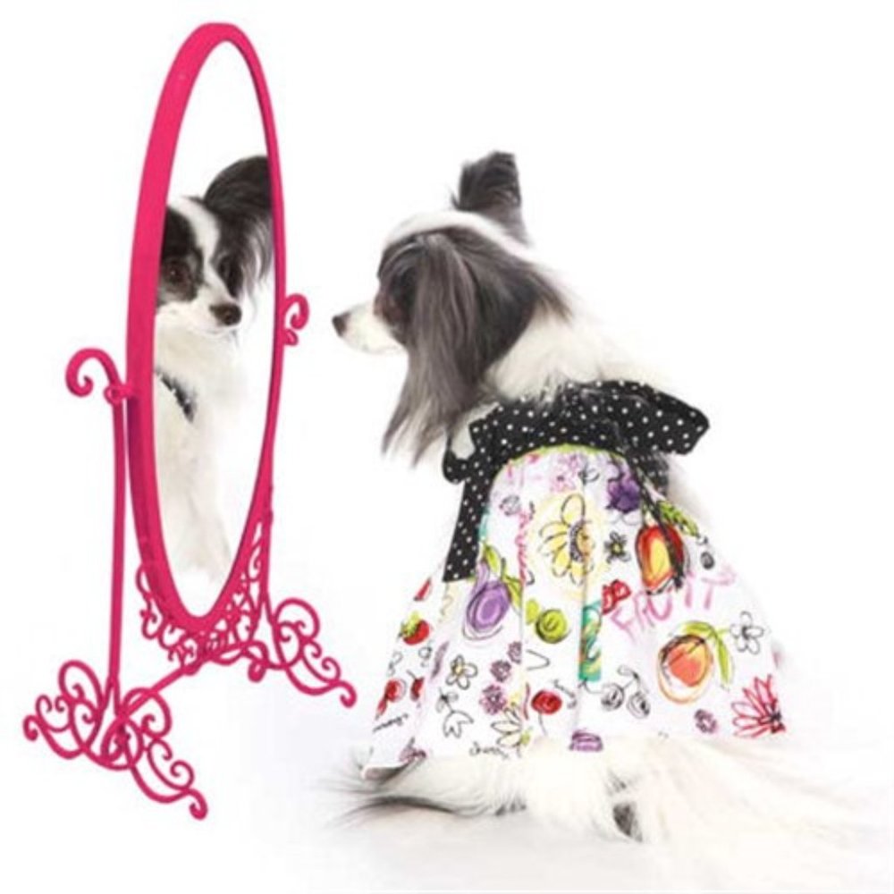 Lucy Dog Dress Size Medium